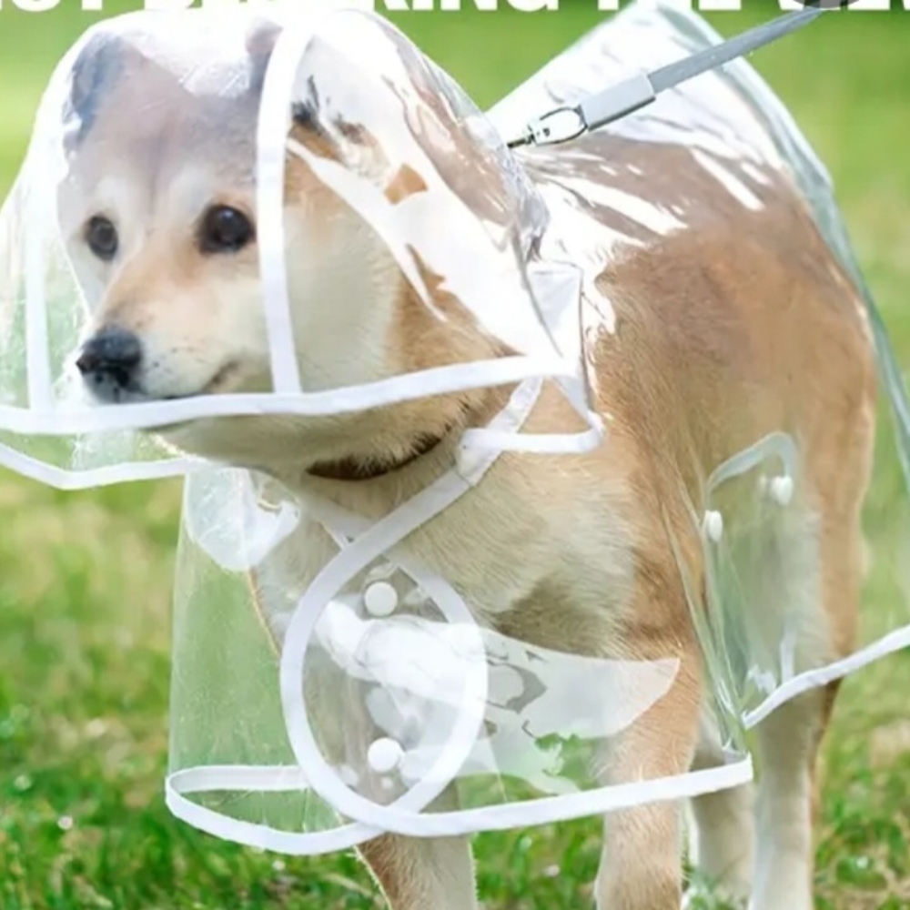 NWOT Transparent Dog Raincoat, Red Trim - Fits Medium (Frenchton)